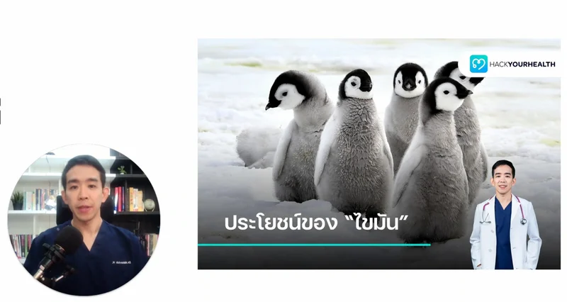 ไขมัน แหล่งพลังงานชั้นดีของร่างกาย ที่หลายคนมองข้าม (Fat 101)