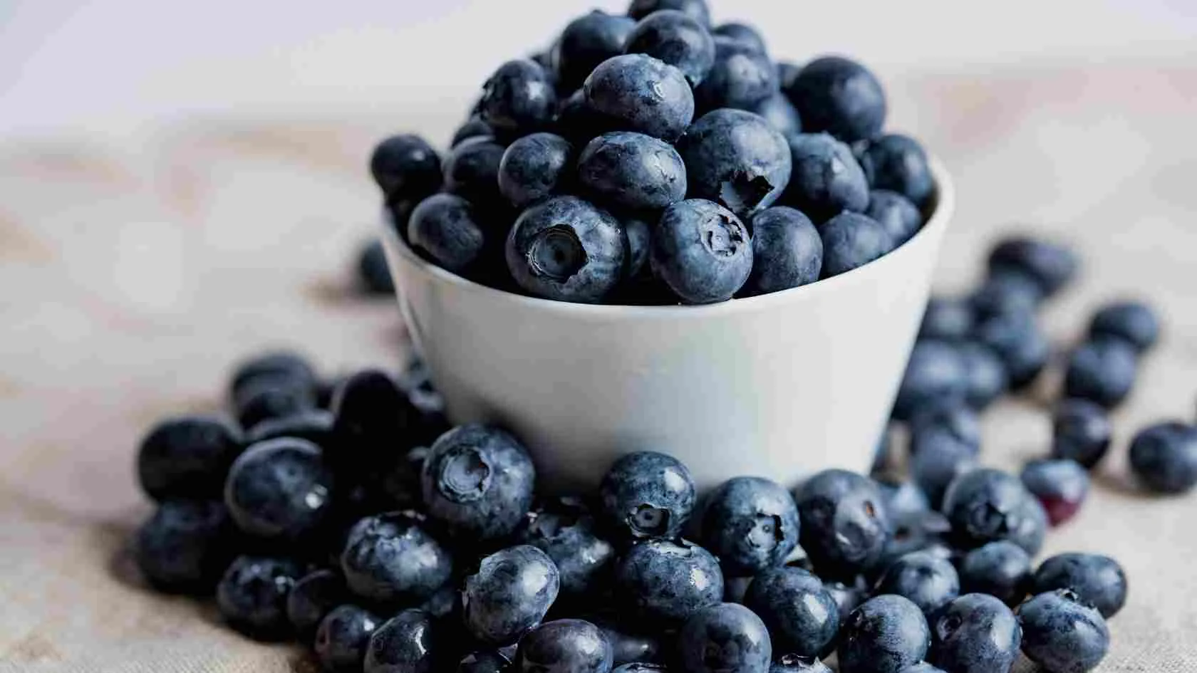 Bilberry