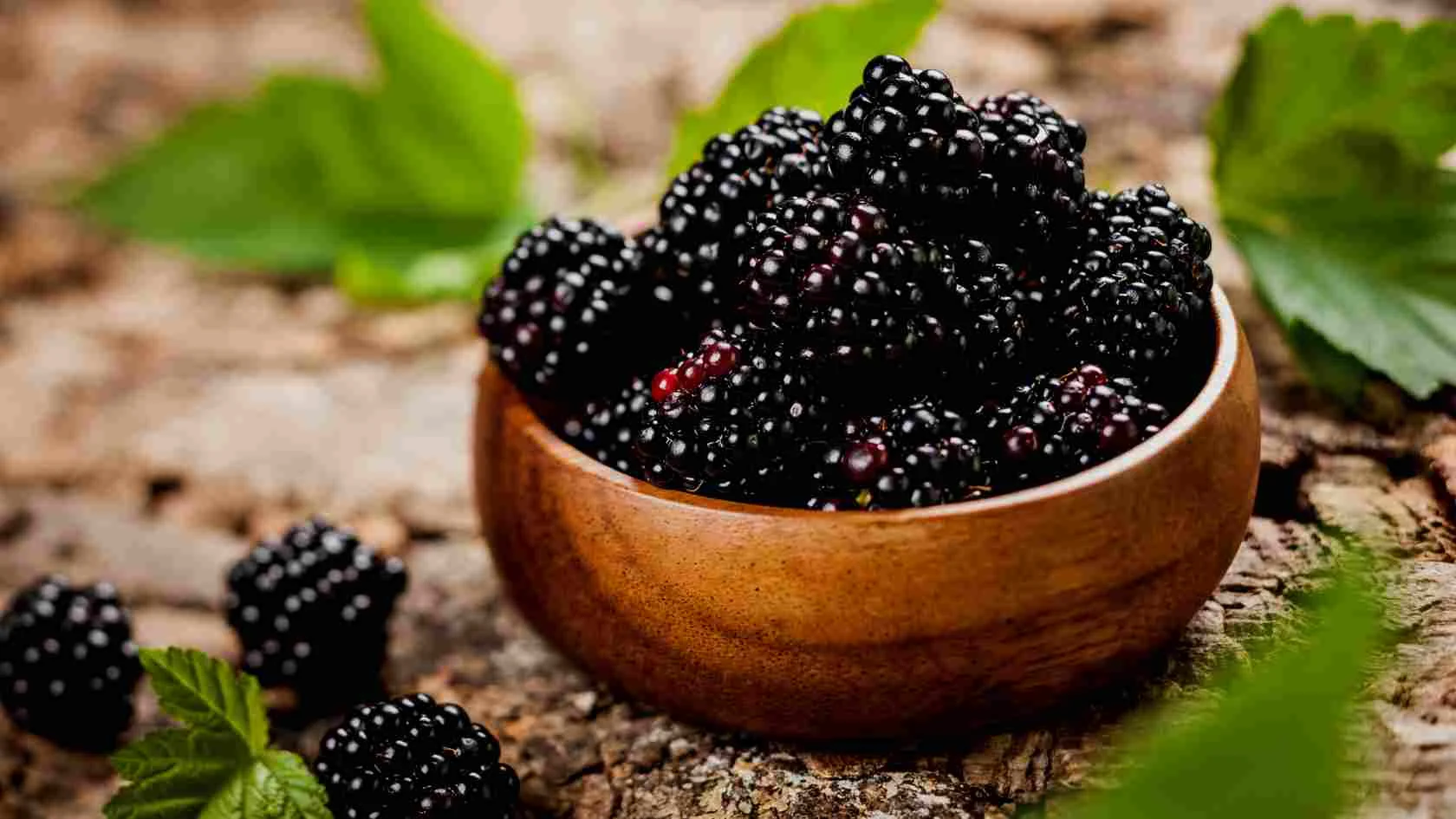 Blackberry