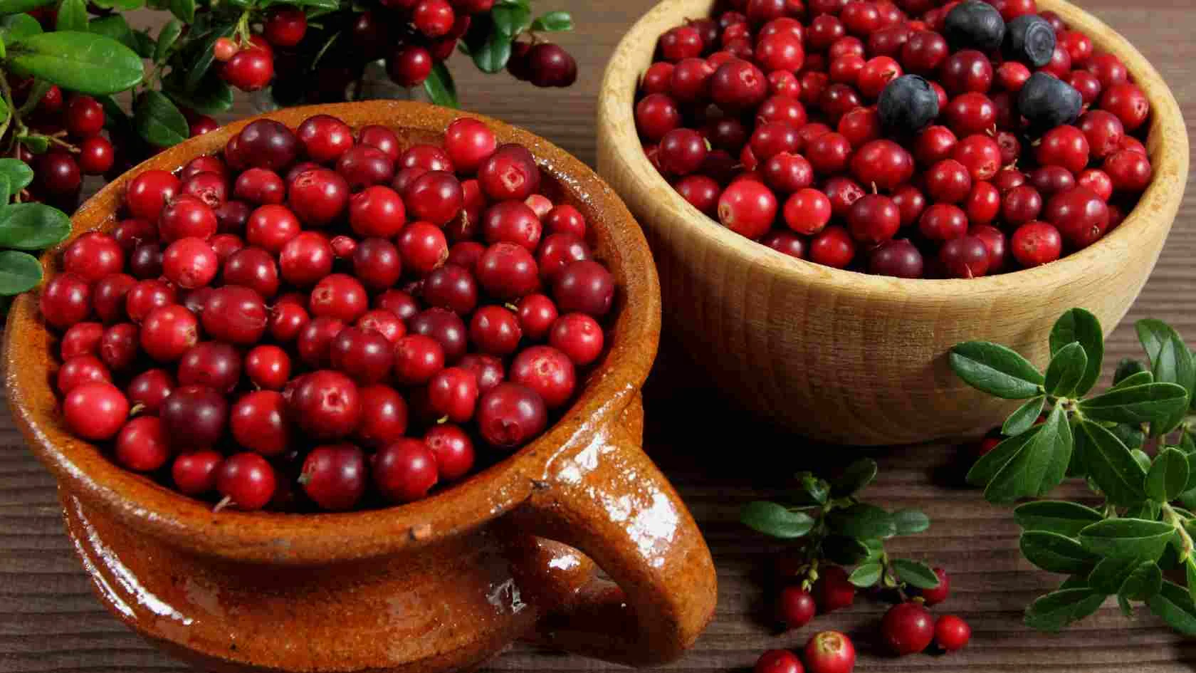 Cranberry