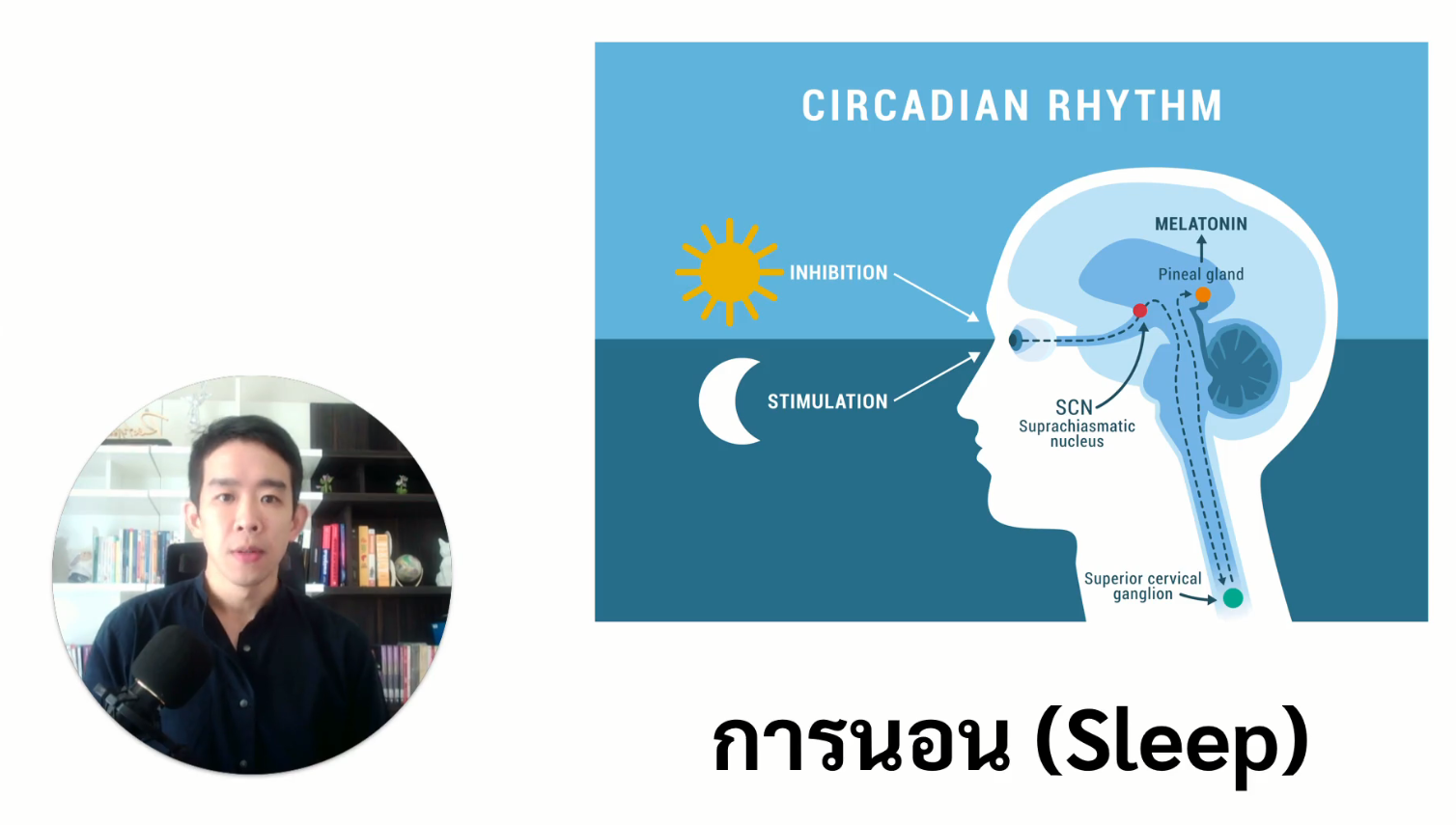 เคล็ดลับการนอน (Sleep 101)